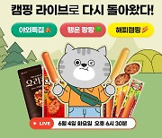 롯데웰푸드, 해피햄핑 네이버 쇼핑 라이브 진행