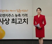 오렌지 주스 못 먹나요?...기후위기가 부른 '애그플레이션' [앵커리포트]