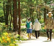 [강북구] 명상하고 맨발로 걷고… 북한산에서 쉼을 만나요