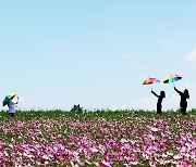 서울·광주·춘천 한낮 29도…오존 농도 ‘나쁨’