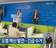 ‘돼지열병 항원’ 오염 백신 발견…긴급 수거