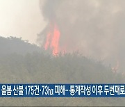 올봄 산불 175건·73㏊ 피해…통계작성 이후 두번째로 작아