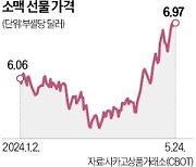 러시아 서리·브라질 폭염…밀·오렌지 가격 치솟았다