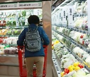 Korea’s inflation on gradual decline: BOK Deputy Governor