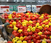 지난달 소비자물가 상승률 2.7%, 농산물 19% 올라