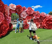 에버랜드, 300만 송이 장미축제 진행