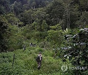 APTOPIX Indonesia Deforestation Female Rangers