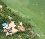 조류경보 발령 기준에 '독소' 추가…친수구간 경보지점 4곳 추가