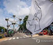 BELGIUM FARMERS PROTEST EU ELECTION