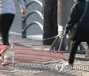 인식표 안 단 반려견·견주는 내보내기로…개포자이 "배설물 안 치우는 외부인 많아져"