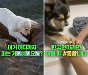 "균형 필요할땐?"... 한국일보 브랜딩 숏폼 눈길