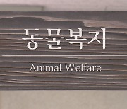 한 동물보호단체 '악성민원'에 공무원들 피해 속출