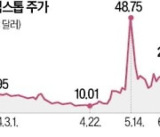 '밈주식 열풍' 주역, 퇴출되나…"SNS 이용해 주가 조작"