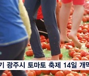 경기 광주시, 퇴촌 토마토 축제 14일 개막