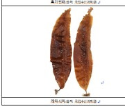 말백합, 흑기민태, 개다시마 식품원료로 신규 등재