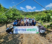 충남 금산농협, NH농협 금산군지부와 농촌일손돕기