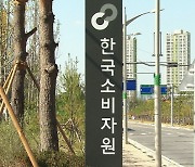 "뮤직페스티벌 취소됐는데 환불 오리무중"…소비자 피해 급증