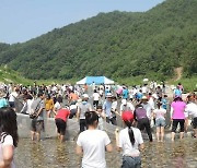 '울진 왕피천 피래미 축제' 굴구지 산촌마을서 15일 개최