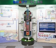 국내 1호 SMR부지, 대구·경주 등 '저울질'