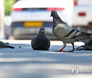 낮 최고 23∼31도…전국 곳곳 소나기