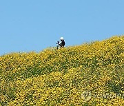 대전·세종·충남 대체로 맑음…낮 기온 25∼30도