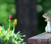 꽃 감상하기 좋은 날