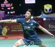 INDONESIA BADMINTON