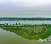 CHINA-HANGZHOU-TIDAL FLAT WETLAND (CN)