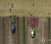 Hungary Agriculture