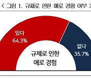 경총 "스타트업 3곳 중 2곳은 규제 애로 경험…개선해야"