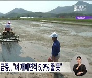 전략작물직불 신청 급증.. "벼 재배면적 5.9% 줄 듯"