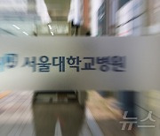 서울의대 교수들, 17일부터 전면 휴진…“정부 무도한 처사 취소 때까지”