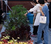 깜깜한 무대 대신 토마토 텃밭이 펼쳐져… “기후위기, 이론 아닌 ‘감각’으로 얘기했죠”