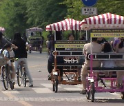 ‘안전논란’ 한강 4인승 자전거…운행 제한에 대수도 축소