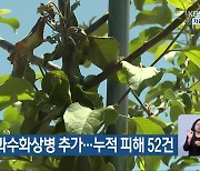 충북 북부 과수화상병 추가…누적 피해 52건