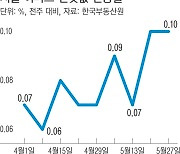 4년간 못 올린 전셋값, 빗장 풀리지만…‘타격 제한적’ 관측