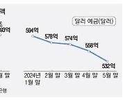 "쌀때 사두자" 엔화예금 넉달새 11% 늘어