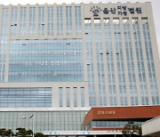 "사실혼인데 한부모 지원 4000만원 부정 수급"… 30대 벌금형