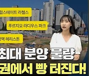 [영상]누가 '대장' 될 상인가…6월 대단지 줄 섰다