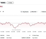 엔비디아 1.18% 하락, 필라델피아반도체지수 0.86%↓(종합)