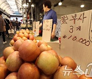 '일부 과실의 가격 상승률이 전년 대비 두자릿수 이상'