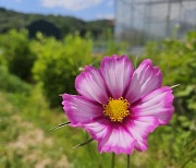 오늘날씨, 대체로 맑다가 구름...대기 불안정 천둥‧번개 동반 소나기