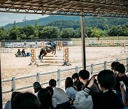 [경마] 퇴역경주마들의 성공적인 변신...제1회 퇴역경주마 승마대회 성료