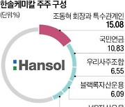 백기사 찾기 쉽지 않네…한솔케미칼 3세 승계 난항