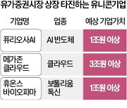 코스닥 건너뛰고 코스피 노리는 'IPO 대어'