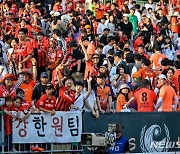 '대세' 프로축구 강원, 이번 시즌 마지막 춘천 홈경기서 매진 도전