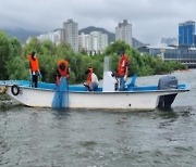 부산시 수산자원연구소, 어린 동남참게 20만 마리 방류