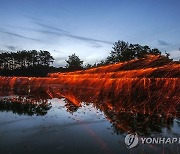 불꽃이 꽃잎처럼 흩날린다…무주서 8일까지 낙화놀이 축제