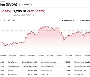 공매도 급증, 엔비디아 액면 분할에도 0.09% 하락