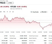 미의회 中 CATL 배터리 금수 추진, 테슬라 0.26%↓